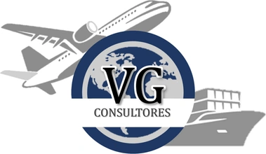 VG Consultores